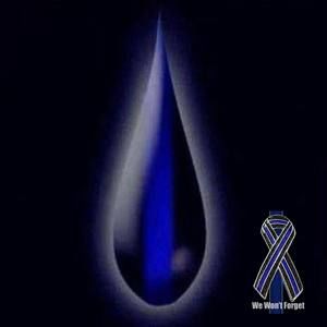 Meet your Posher, Freddie